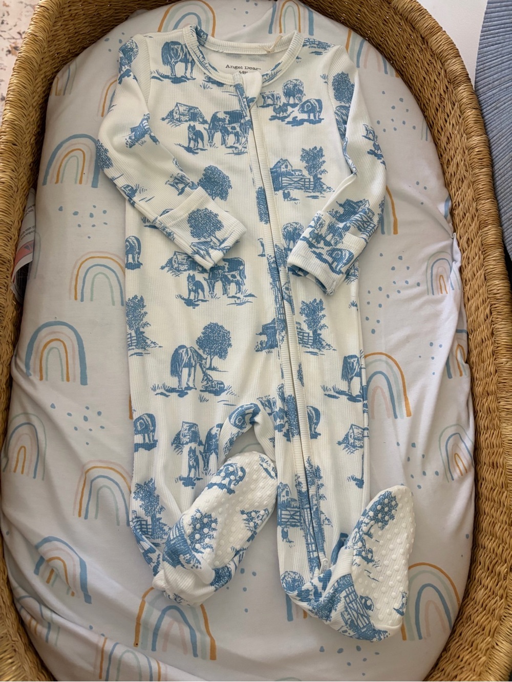 Angel Dear Blue Toile Footed Sleep Sack